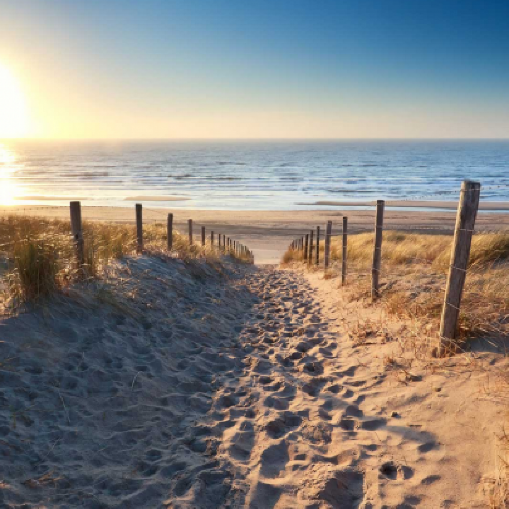 dd-strand